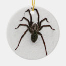 Suche nach spinnen ornamente Beängstigend