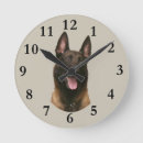 Suche nach malinois poster Belgianisch