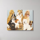 Suche nach yorkshire terrier leinwandbilder Haustier