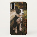 Recherche de chien noir et blanc iphone coques Tendance