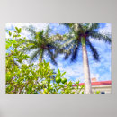 Recherche de arbre tropical posters Agrumes