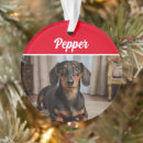 Suche nach dachshund ornamente Hunde