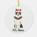 Suche nach border collie ornamente Santa