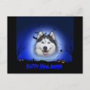 Suche nach husky postkarten Glücklich