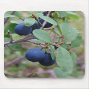 Suche nach beeren mousepads Blaubeere