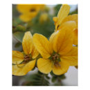 Suche nach macro poster Blume