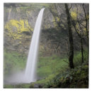 Recherche de crevette carreaux Nature