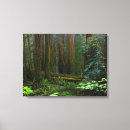Suche nach western usa leinwandbilder Wald