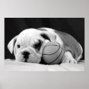 Recherche de anglais bouledogue art Amoureux des chiens