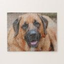 Recherche de une canine puzzles Peinture