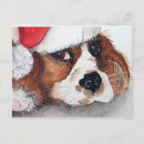 Recherche de gordon cartes postales Chiot