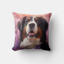 Recherche de berne coussins Dog