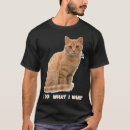 Recherche de orange cat tshirts Tabby