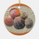 Recherche de coquillage ornements Plage