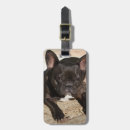 Suche nach french bulldog gepäckanhänger Lustig