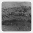 Suche nach verde aufkleber Im freien