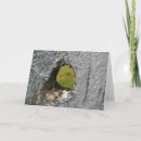 Suche nach graues holz karten Foto