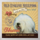 Recherche de chien de berger anglais art Vieux