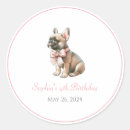 Recherche de frenchie autocollants Illustration