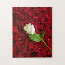 Recherche de pétales roses puzzles Élégant
