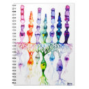 Suche nach anatomie kleine notizbücher Biologie