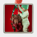 Recherche de petit chien ornements Animaux