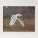 Recherche de oiseau de neige puzzles Hibou