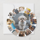 Recherche de photo ronde vœux cartes Pour tous