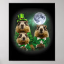 Suche nach t st poster Patricks