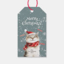 Recherche de chat de joyeux noël Mignon