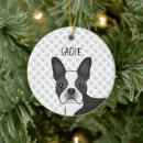 Suche nach boston ornamente Schwarz