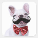 Suche nach buller aufkleber Bulldogin