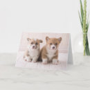 Suche nach corgis karten Hund