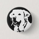 Recherche de extracteur badges Labrador