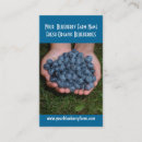 Suche nach blaubeeren visitenkarten Nahrung