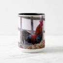Recherche de rooster tasses Animaux