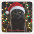 Recherche de chat chapeaux Noël