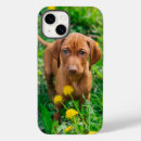 Recherche de animal de bébé iphone coques Chiot