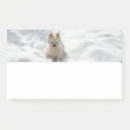 Suche nach schneehunde Für haustiere