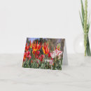 Suche nach feuer blume karten Gelb