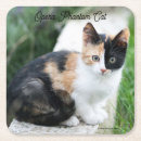 Suche nach parodien untersetzer Katze