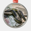 Suche nach schlange ornamente Tiere