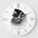 Recherche de nautilus horloges Coquillage