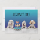 Recherche de chien heureux invitations Amoureux de les chiens
