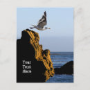 Suche nach seagull postkarten Gestein