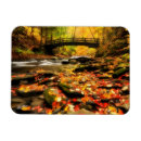 Recherche de bois magnets Photographie