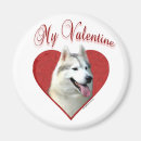 Suche nach sibirischer husky magnete Zäh