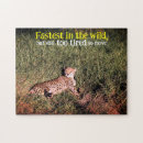 Suche nach wilde katze puzzle Wildkatze