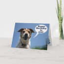 Suche nach russel karten Hunde