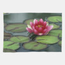 Recherche de nénuphar cuisine linges Floraison